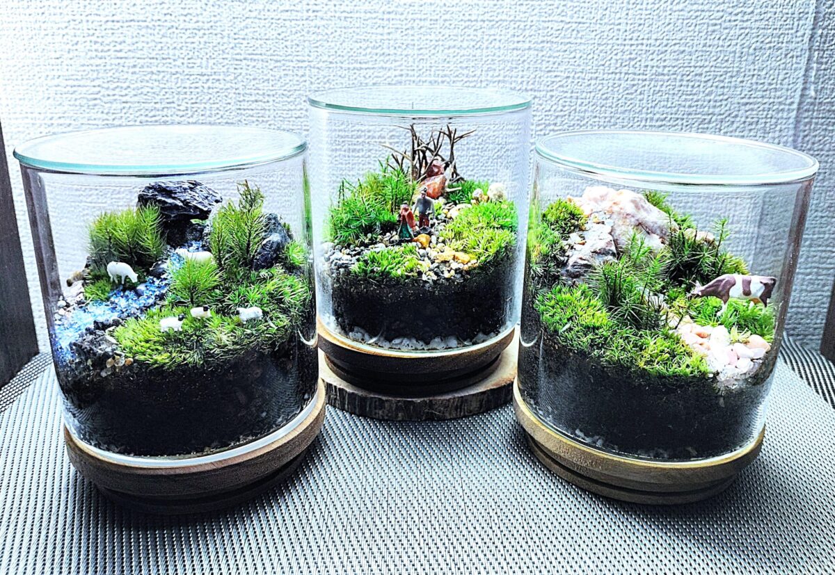 スマートな硝子瓶で創る☆苔テラリウム(創作体験)  当日予約も受付中♪