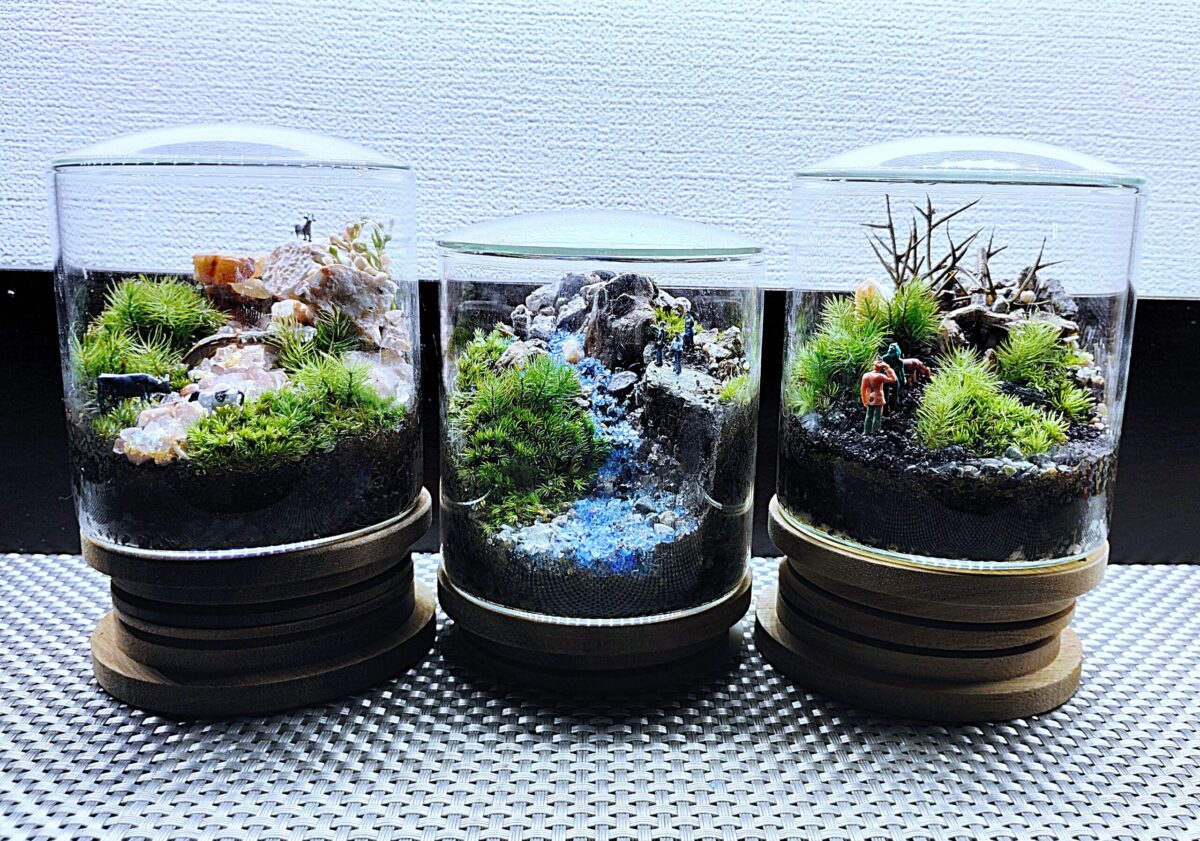 スマートな硝子瓶で創る☆苔テラリウム(創作体験)
